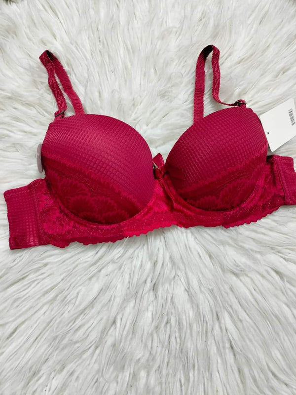 Embroidery padded bra