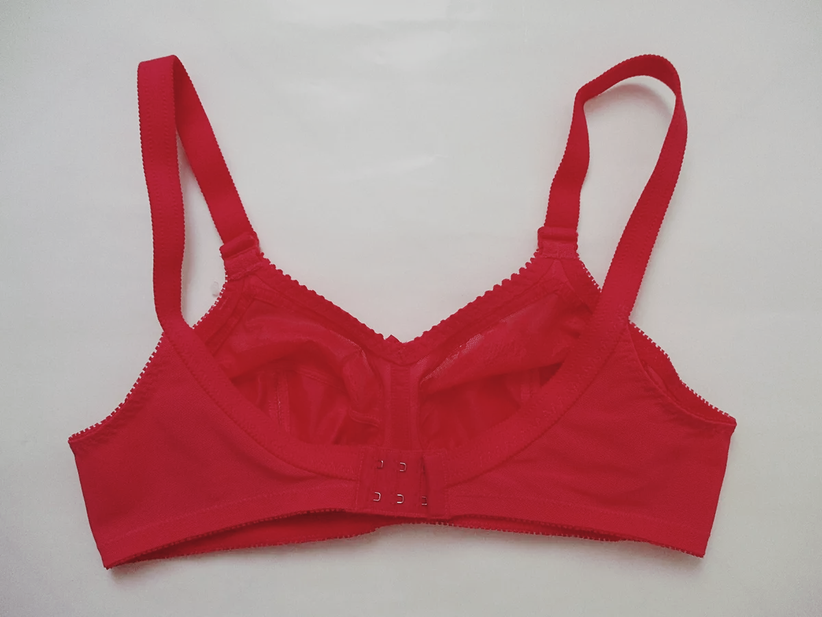 Pack of 2 triumph Doreen bra (new colors) limited time offer